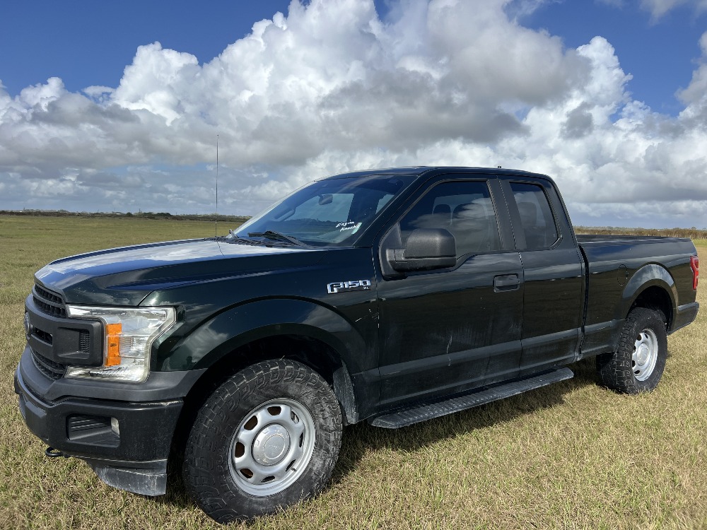 2020 Ford F 150 XL DeMott Auction