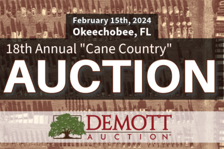 18th Annual "Cane Country" Auction