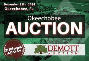 Okeechobee Auction - 2 Rings