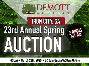 23rd Annual Spring Auction - 2 Rings