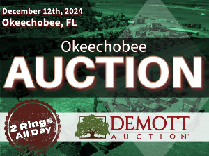 Okeechobee Auction - 2 Rings