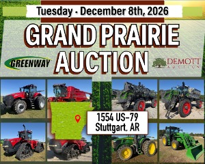 Grand Prairie Auction