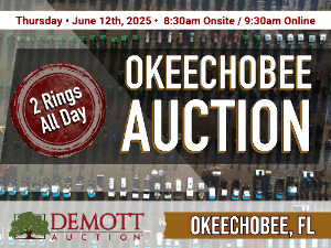 Okeechobee Auction - 2 Rings