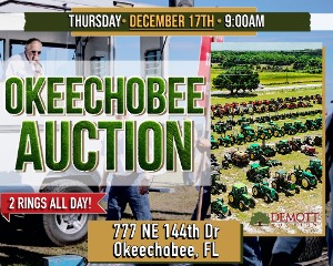 Okeechobee Auction - 2 Rings